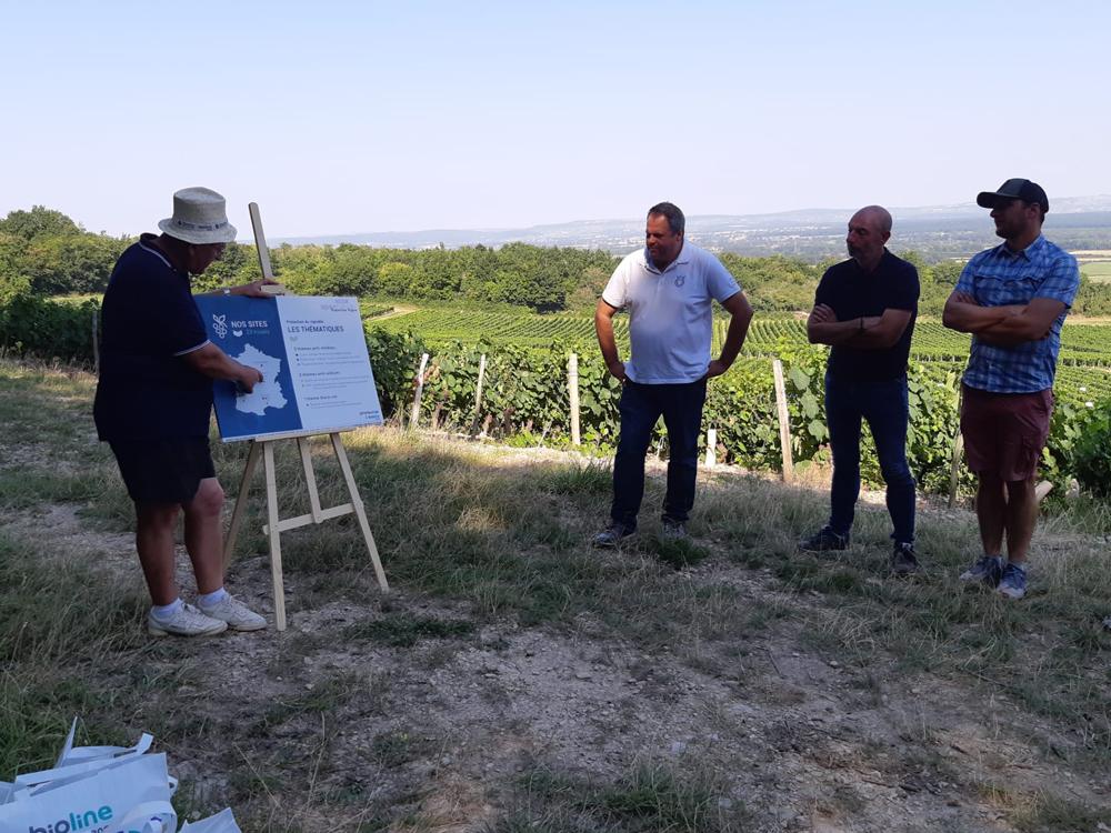 Visite essais vigne Bourgogne 2022